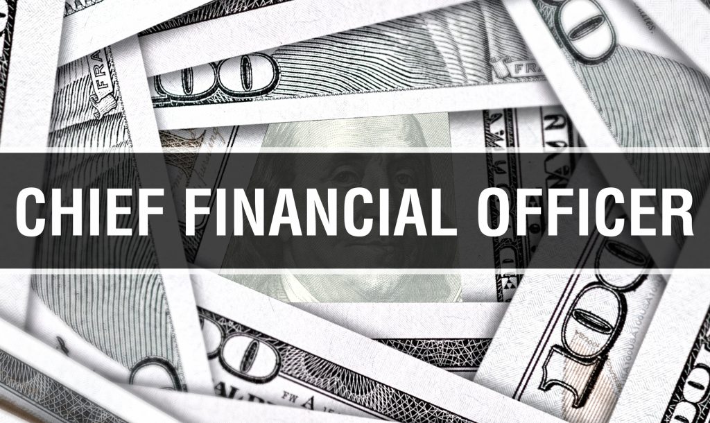 What Does a Fractional CFO Do