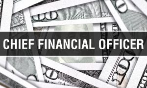 What Does a Fractional CFO Do
